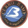 Cerro-Bayo logo