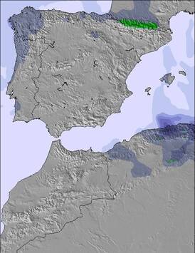 Spain / Portugal Snow Forecast