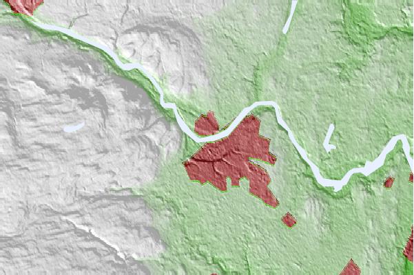 @{@location.name} neighbourhood basemap