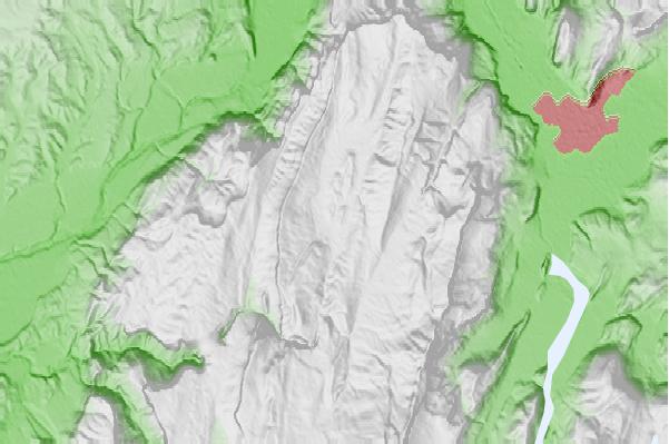 @{@location.name} neighbourhood basemap