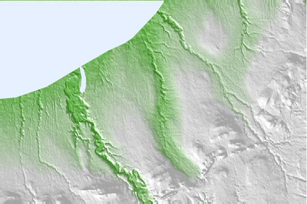 @{@location.name} neighbourhood basemap