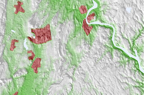 @{@location.name} neighbourhood basemap