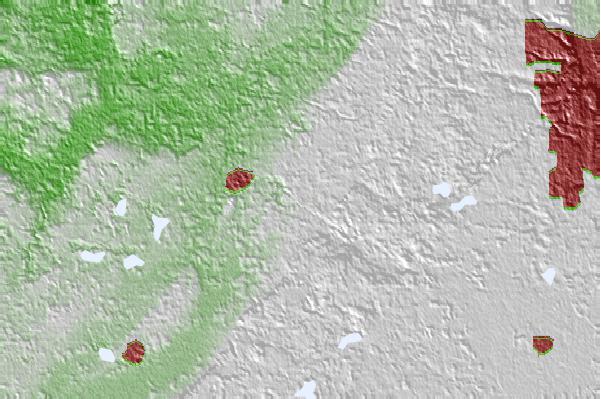 @{@location.name} neighbourhood basemap